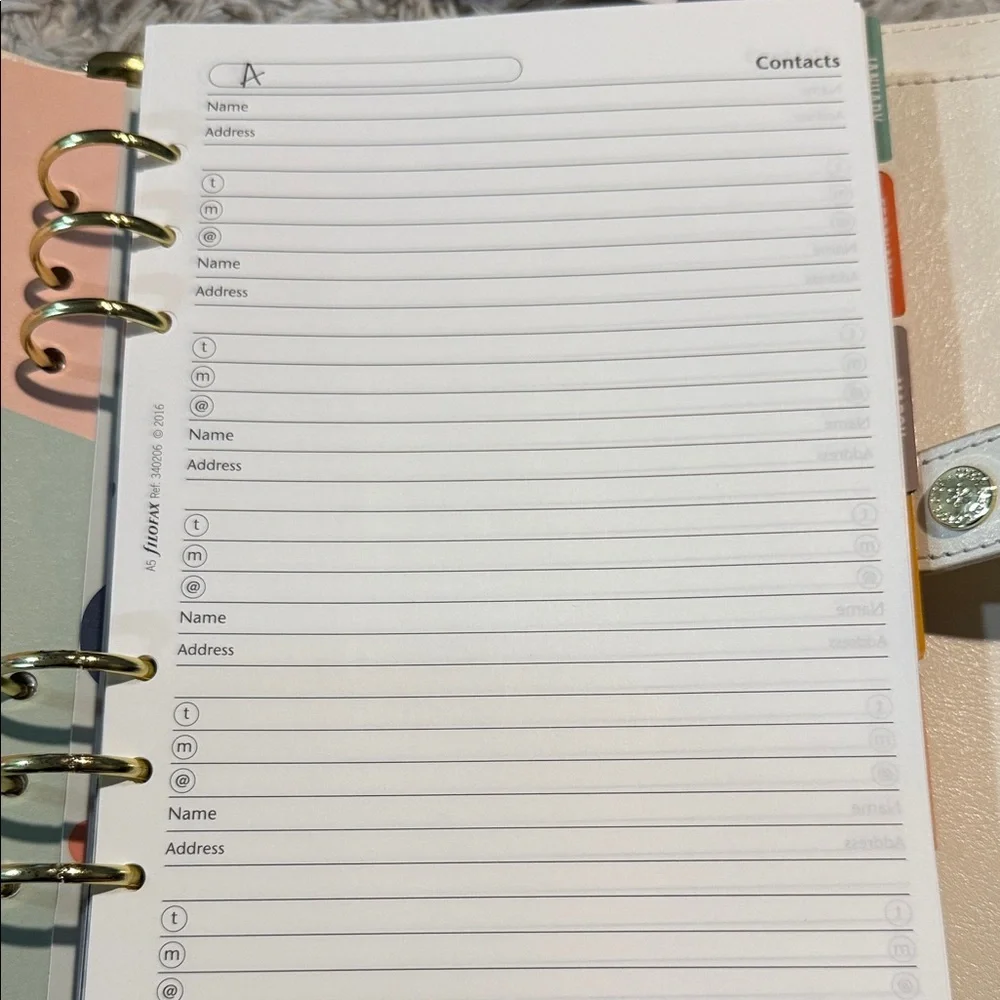 Carpe Diem Planner with Gold Accents and colorful pages